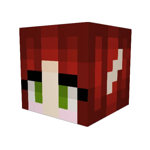 dr0wsydruid Minecraft avatar head, 3D render