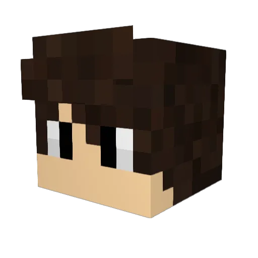 dr3i_ Minecraft avatar head, 3D render