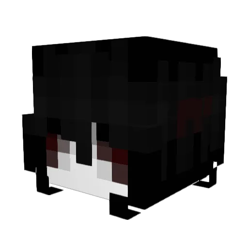 dr4inyourlife Minecraft avatar head, 3D render