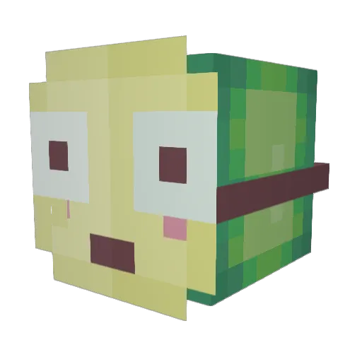 dr_Elit3 Minecraft avatar head, 3D render