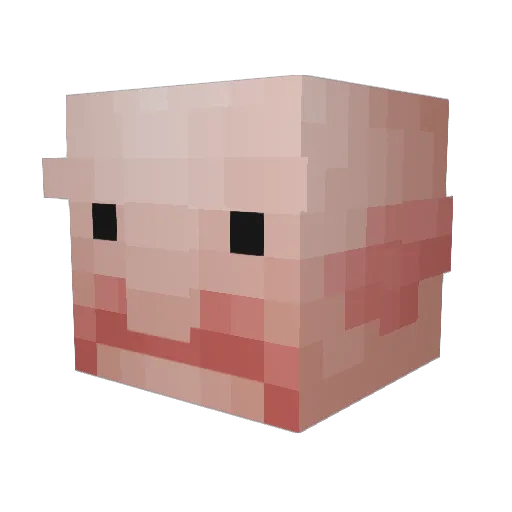 dr_blobfish Minecraft avatar head, 3D render