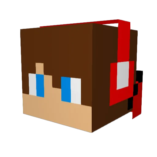 dr_manatee12 Minecraft avatar head, 3D render