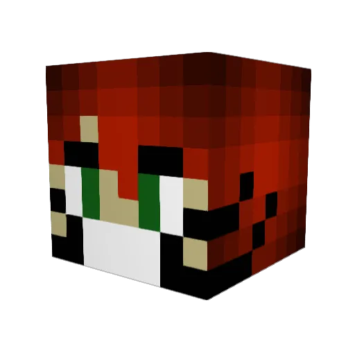 dr_med_ Minecraft avatar head, 3D render