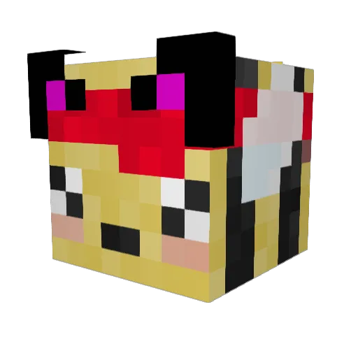 dr_plut0 Minecraft avatar head, 3D render