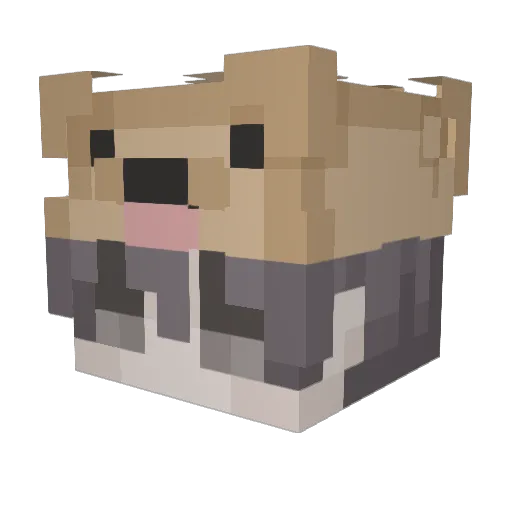 dr_pupper3 Minecraft avatar head, 3D render
