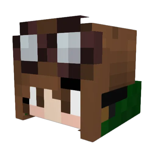 dr_smooth Minecraft avatar head, 3D render