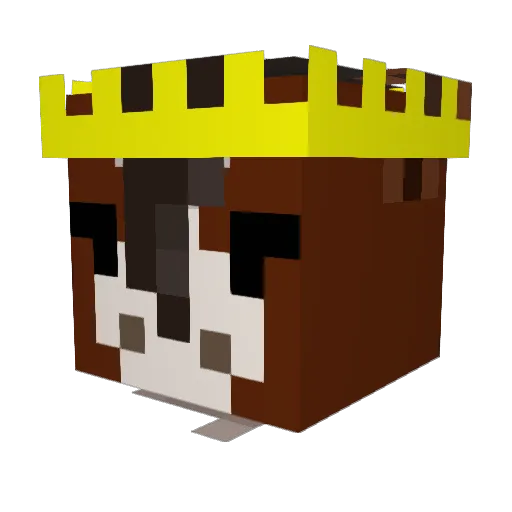 dr_spongesquid Minecraft avatar head, 3D render
