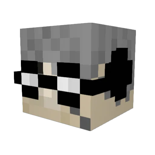 dr_stein91 Minecraft avatar head, 3D render
