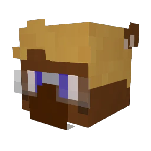 drafu Minecraft avatar head, 3D render
