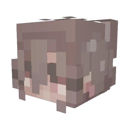 drag0nfire30 Minecraft avatar head, 3D render