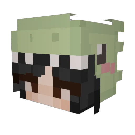 drag0nfly14 Minecraft avatar head, 3D render