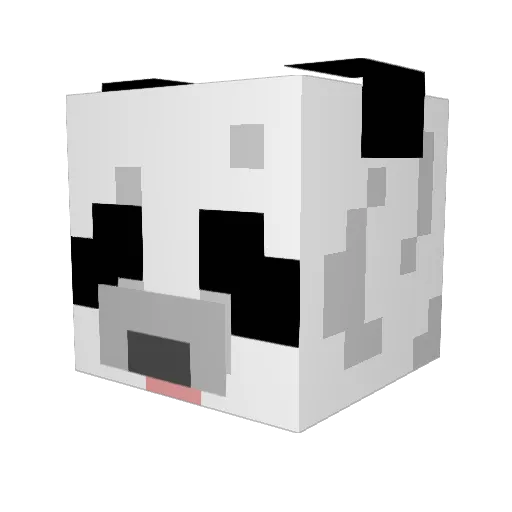 dragnassassin Minecraft avatar head, 3D render