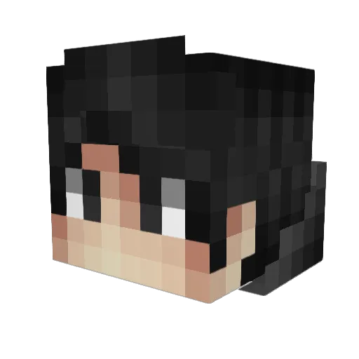 dragolegends Minecraft avatar head, 3D render