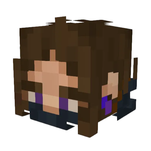 dragon135 Minecraft avatar head, 3D render