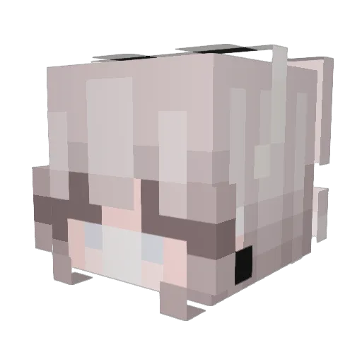 dragon145aa Minecraft avatar head, 3D render