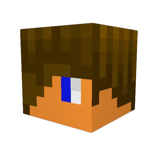 dragon202000 Minecraft avatar head, 3D render