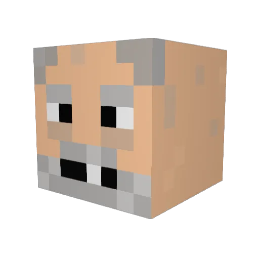 dragon5265 Minecraft avatar head, 3D render
