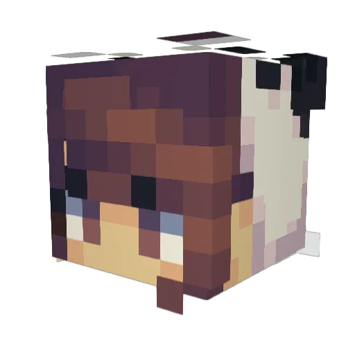 dragon_blaze Minecraft avatar head, 3D render