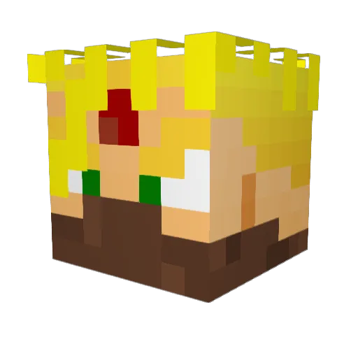 dragonblaze213 Minecraft avatar head, 3D render