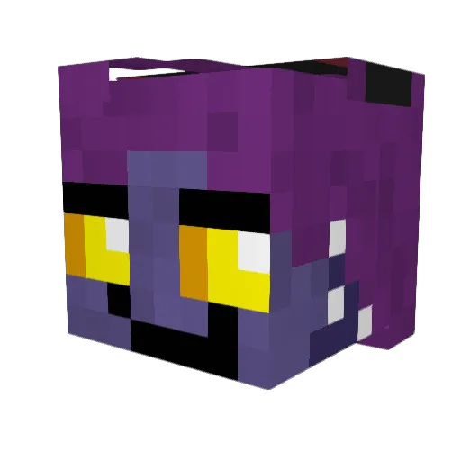 dragonbooper Minecraft avatar head, 3D render