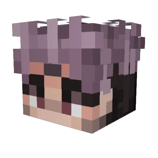 dragonboss648 Minecraft avatar head, 3D render