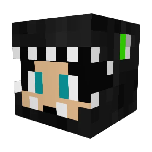 dragondestoyer20 Minecraft avatar head, 3D render