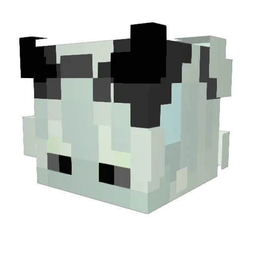 dragonek2004 Minecraft avatar head, 3D render