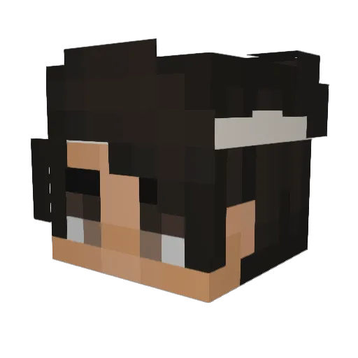 dragonfields Minecraft avatar head, 3D render