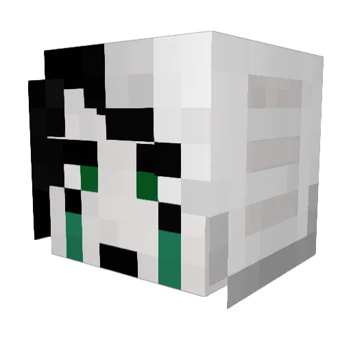 dragonfirecannon Minecraft avatar head, 3D render