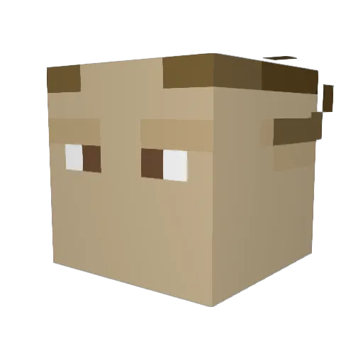 dragonflash99 Minecraft avatar head, 3D render