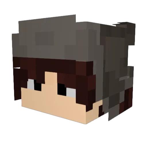 dragonflyer4684 Minecraft avatar head, 3D render