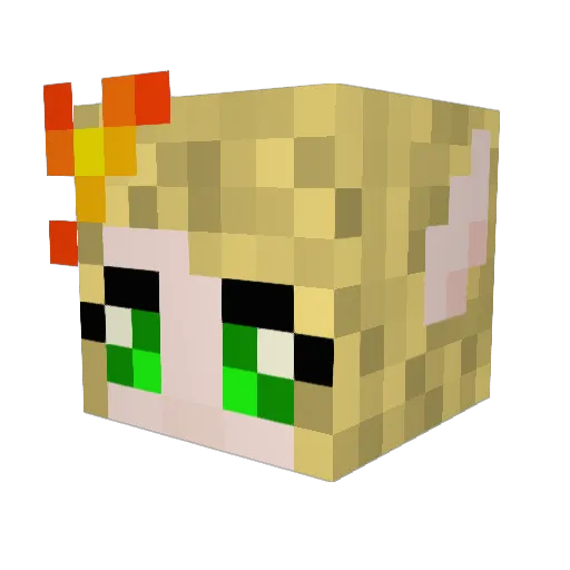 dragongirl9999 Minecraft avatar head, 3D render