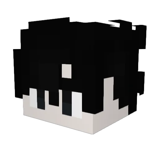 dragonhop Minecraft avatar head, 3D render