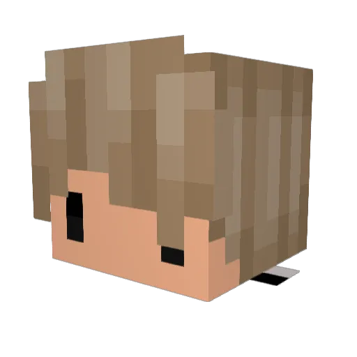 dragonkiller5ns Minecraft avatar head, 3D render