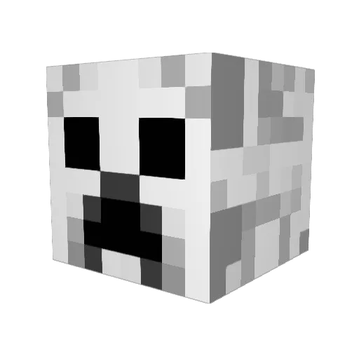 dragonkiller786 Minecraft avatar head, 3D render