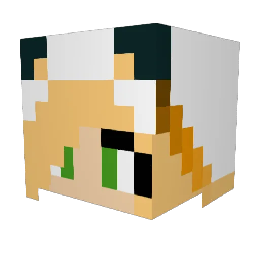 dragonkitty10 Minecraft avatar head, 3D render