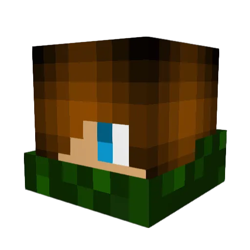 dragonlover007 Minecraft avatar head, 3D render