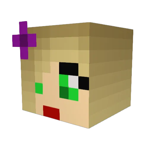 dragonmated Minecraft avatar head, 3D render