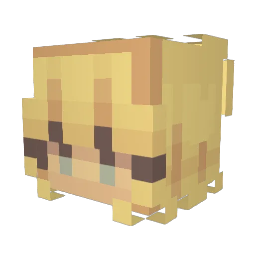 dragonrat4 Minecraft avatar head, 3D render