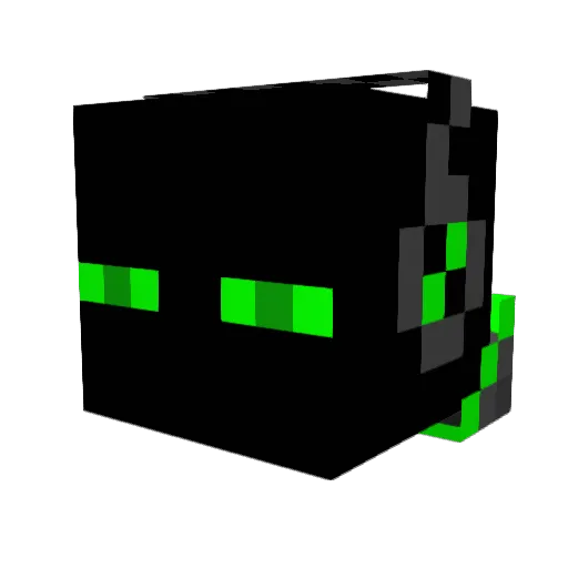 dragonrider50 Minecraft avatar head, 3D render