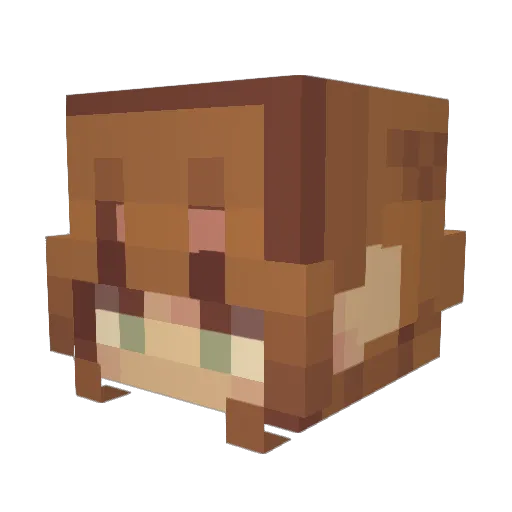 dragonscove33 Minecraft avatar head, 3D render