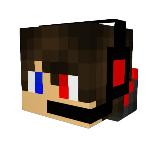 dragonsg2234 Minecraft avatar head, 3D render