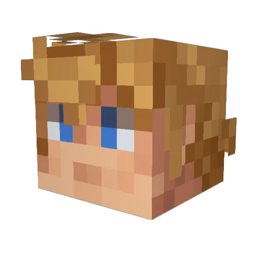 dragonslaya2987 Minecraft avatar head, 3D render