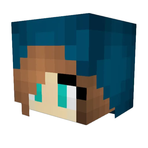 dragonslayer0130 Minecraft avatar head, 3D render