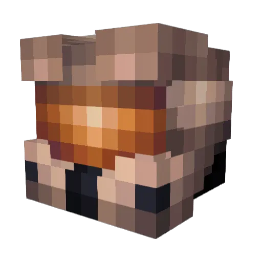 dragonslayer5686 Minecraft avatar head, 3D render