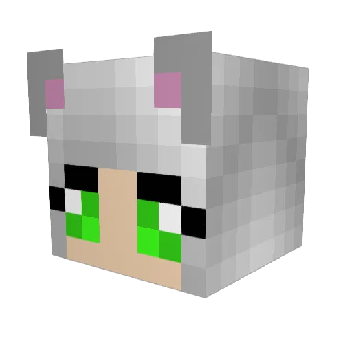 dragonsong84 Minecraft avatar head, 3D render