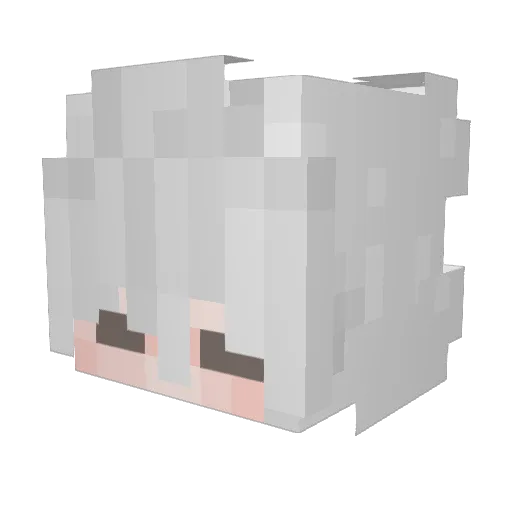 dragonstorm200 Minecraft avatar head, 3D render