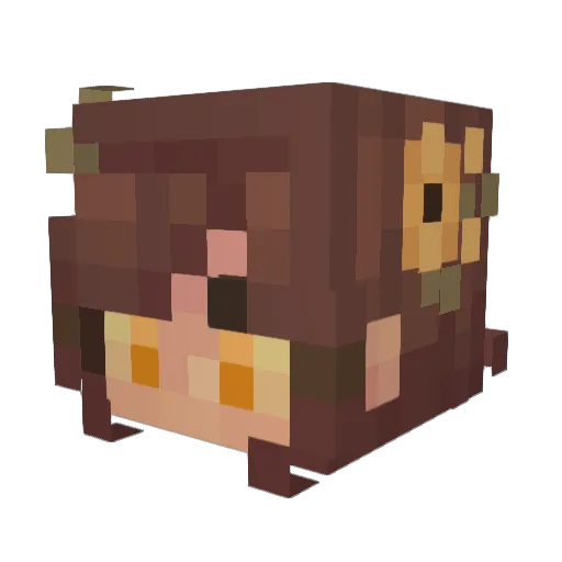 dragonwing899 Minecraft avatar head, 3D render