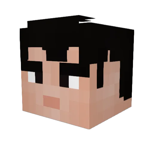 dragonwitch9 Minecraft avatar head, 3D render