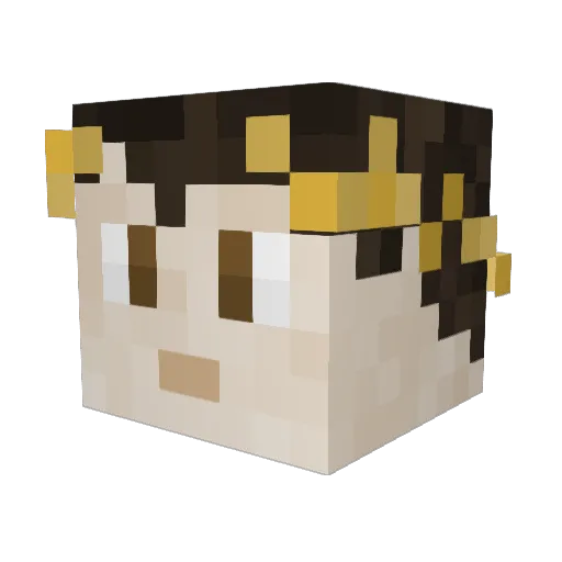 dragonxwing Minecraft avatar head, 3D render